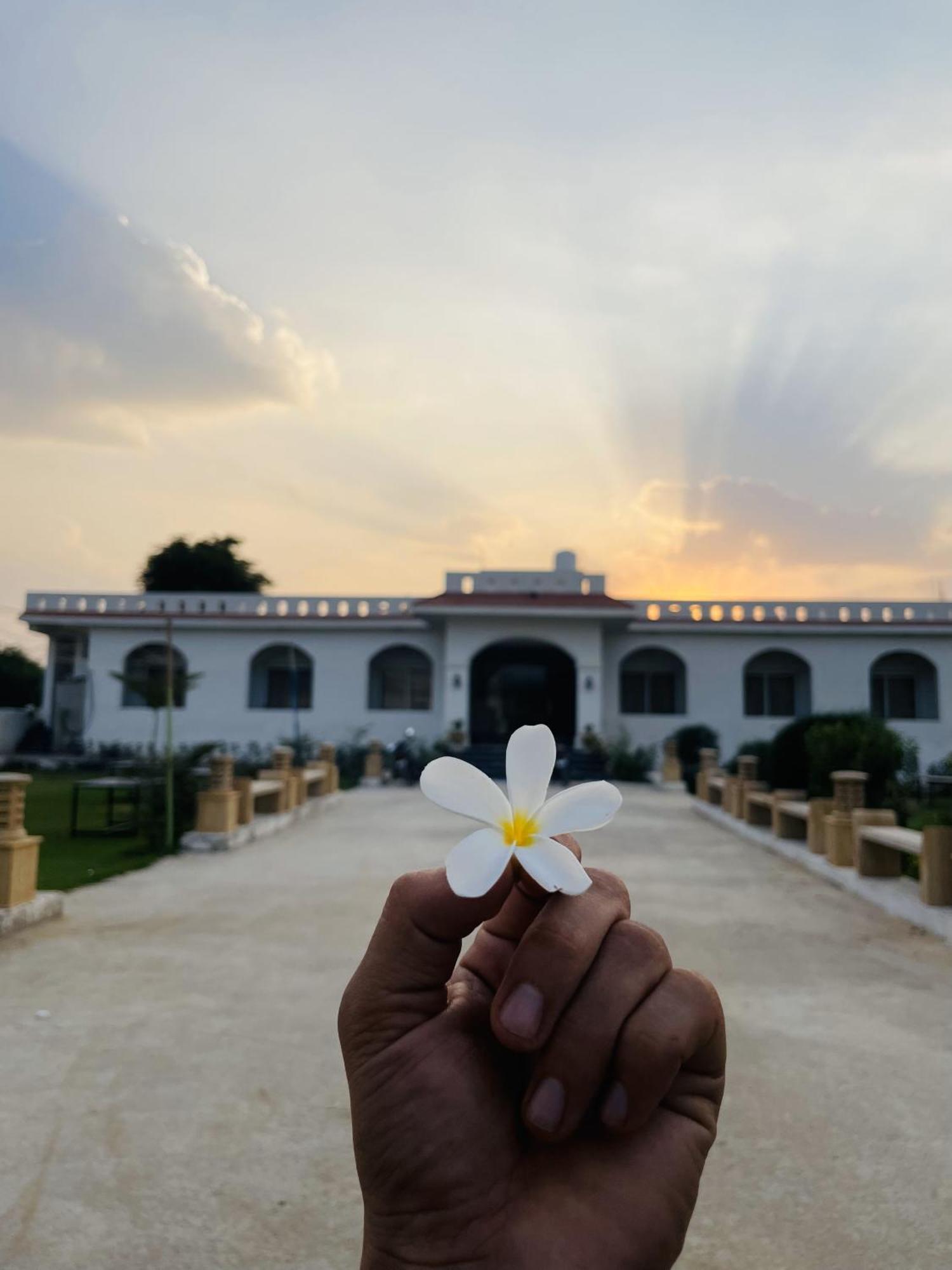 The Ratan Resort & Retreat プシュカル エクステリア 写真